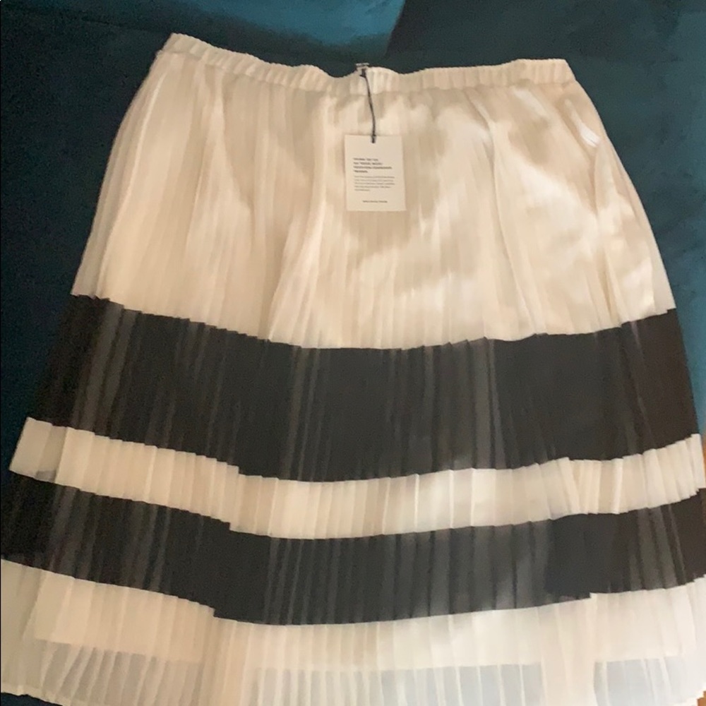 Pleated Skirt